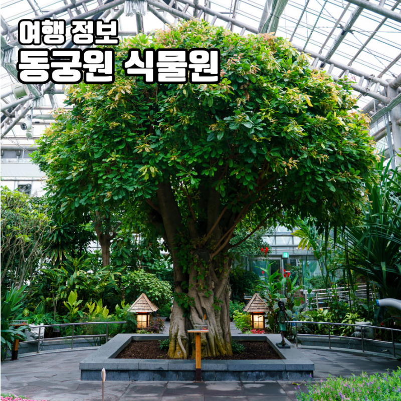 경주 동궁원 식물원 입장료 주차 실내 가볼만한곳 데이트 코스