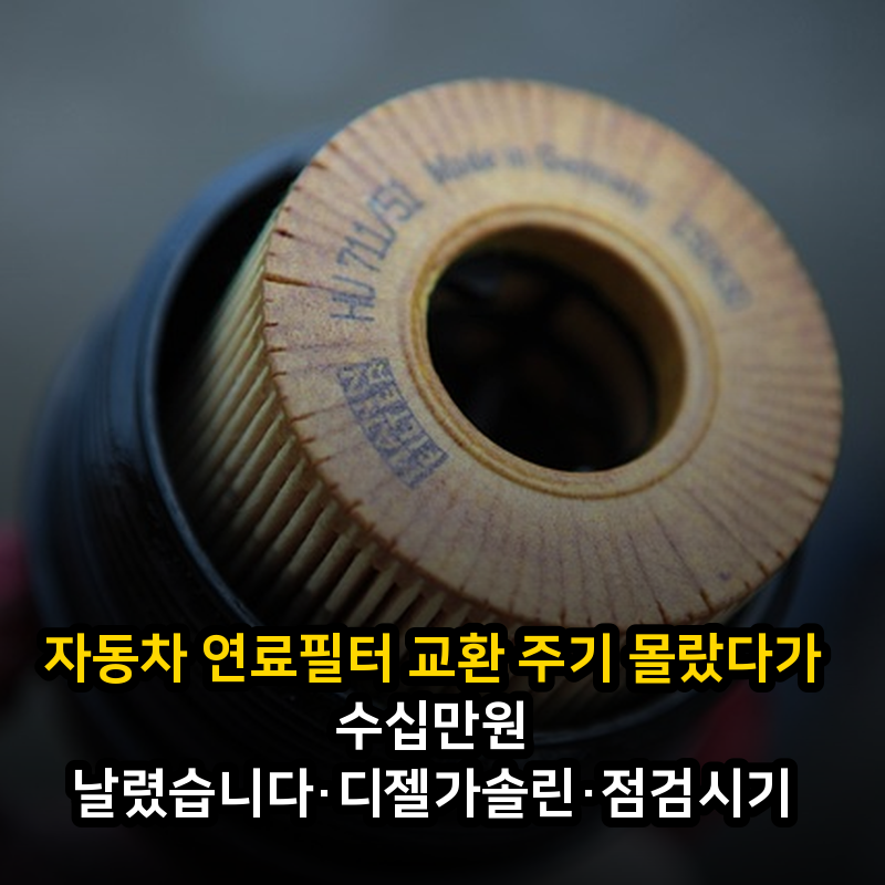 자동차 연료필터 교환 주기 몰랐다가 수십만원 날렸습니다·디젤가솔린·점검시기