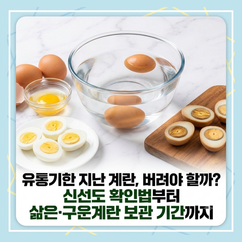 유통기한 지난 계란, 버려야 할까? 신선도 확인법부터 삶은·구운계란 보관 기간까지