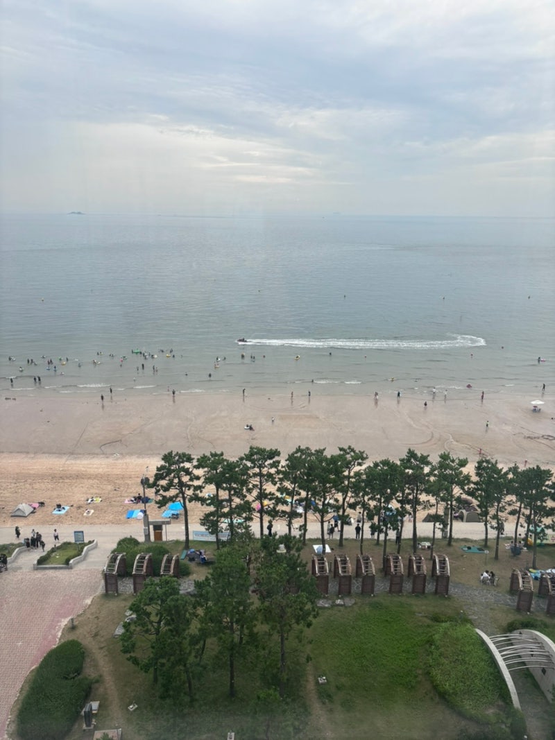 충청남도 - 대천해수욕장 근처 식당 및 가볼 만한 곳