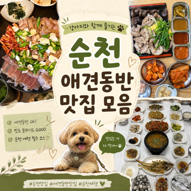 순천 맛집 | 먹방 여행 쌉가능한 순천 애견동반 맛집 5곳 모음zip