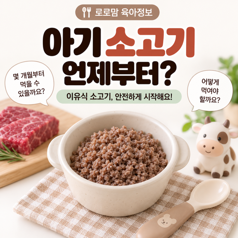 아기 소고기 언제부터? 이유식 소고기 양·횟수·먹이는 방법 총정리