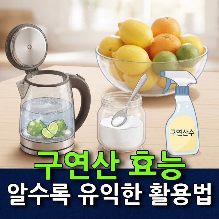 구연산효능과 식용·청소용 구별 및 청소 할때 사용법