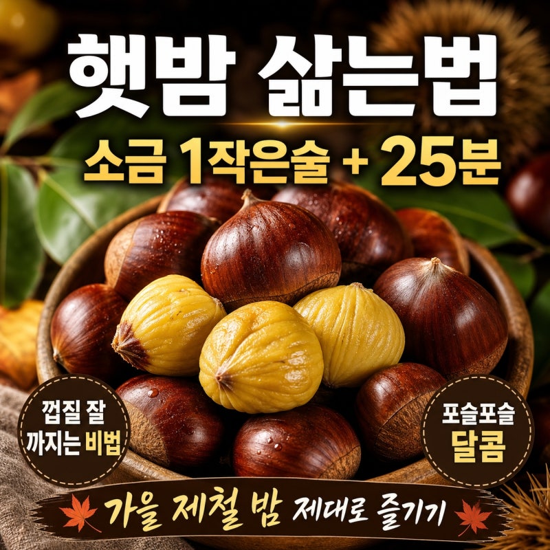 "햇밤 삶는법" 맛있게 삶는 시간과 소금 비율 이것 하나로 가을 밤 제대로 즐깁니다