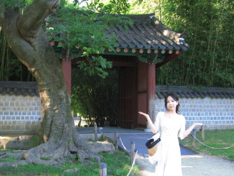 :⊹*. ̥ 생일 기념 전주 여행 (캐논 익서스 750 작례를 곁들인) ⋆.*: