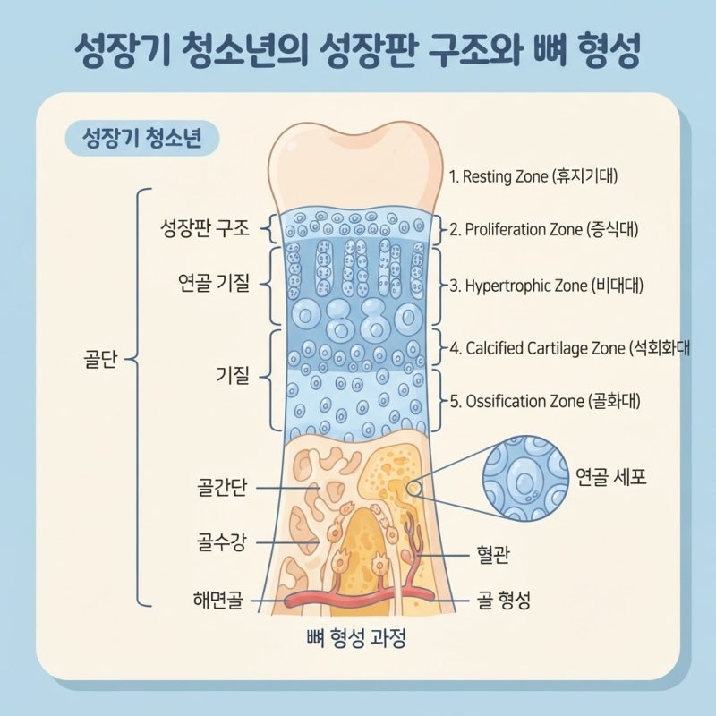 성장기 어린이 영양제 효능, 키 크는 데 진짜 도움되는 성분은