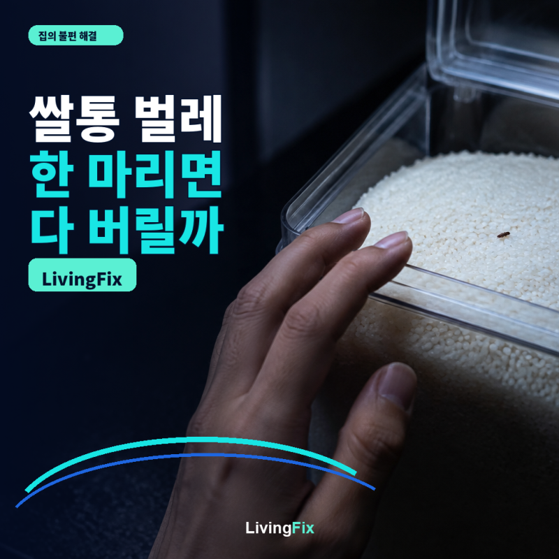 쌀통 벌레 발견 후 쌀 보관, 다 버려야 할까
