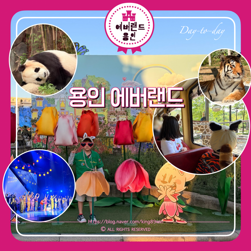 용인 에버랜드 오픈런 사파리 로스트밸리 명당자리 , 아이와 판다월드 공연 인기코스 정복