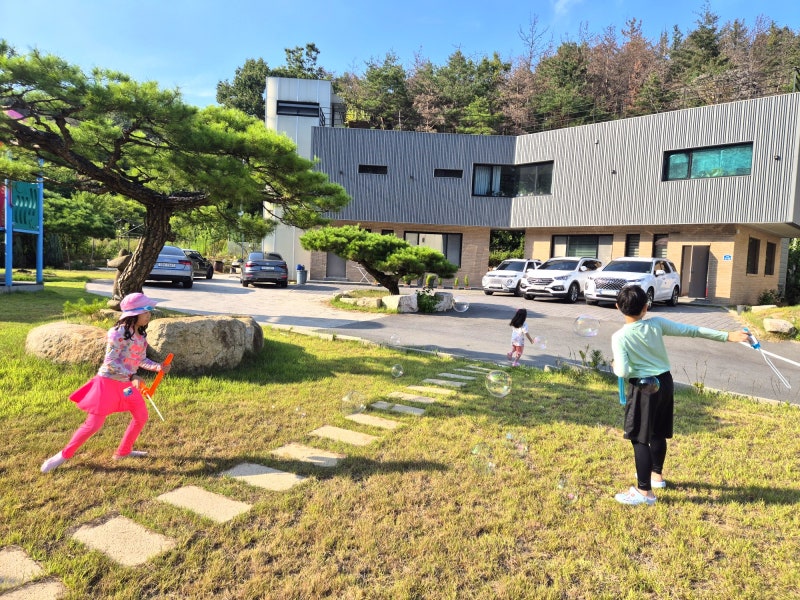 경주 아이랑 숙소 여름방학 물놀이 아인키즈 풀빌라 펜션 내돈내산 후기