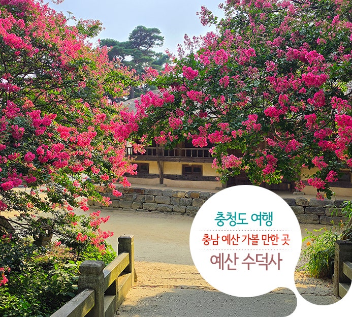 忠清道旅行 忠南礼山のおすすめスポット | 礼山修徳寺