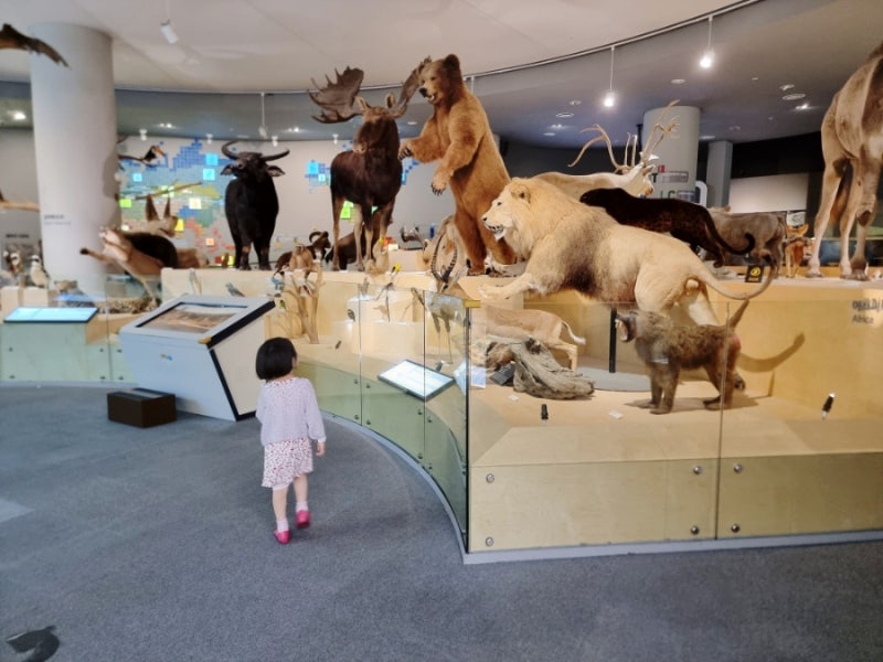 Sangju Attractions for Kids: National Nakdonggang Biology Resources Center, from Indoor Playground to Exhibition Hall