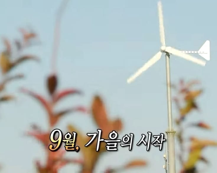 9월 일상_1️⃣ 왕방이의 등장