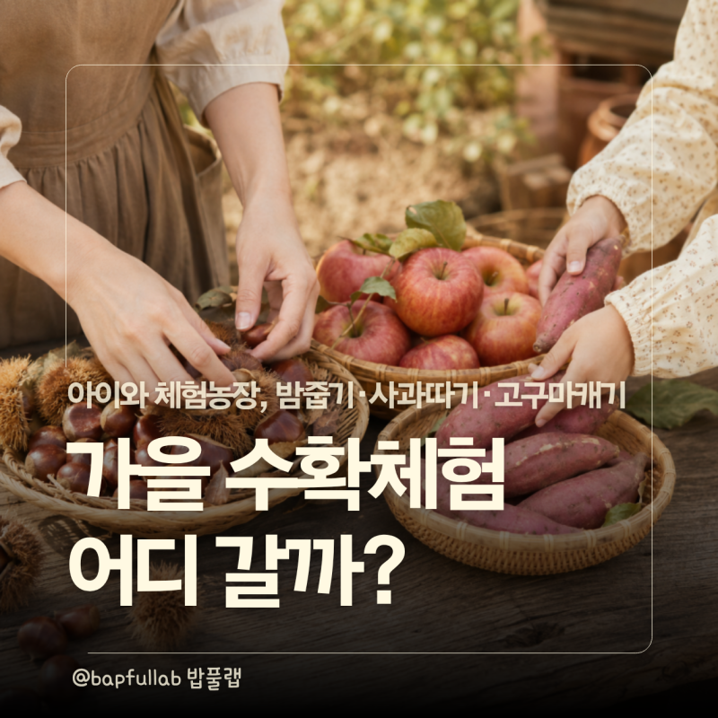 9월~10월 아이와 체험농장 어디 갈까? 밤줍기 사과따기 고구마캐기 4곳
