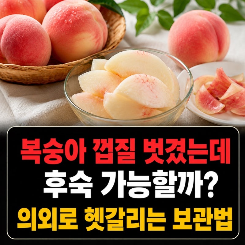 복숭아 껍질 벗겼는데 후숙 가능할까? 의외로 헷갈리는 보관법