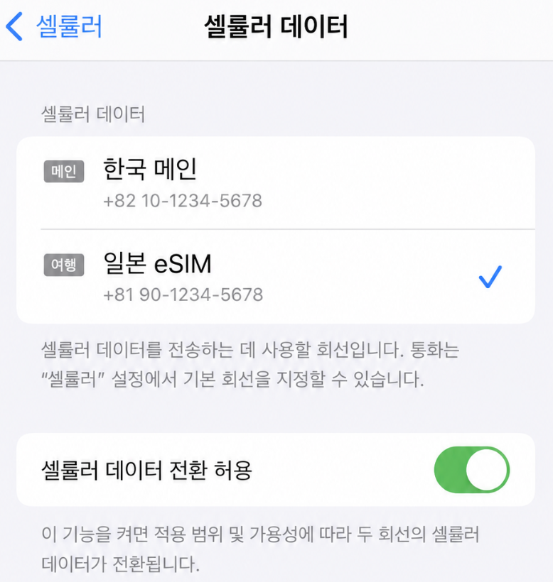일본 eSIM 설치 방법｜아이폰 이심 설정하는 법