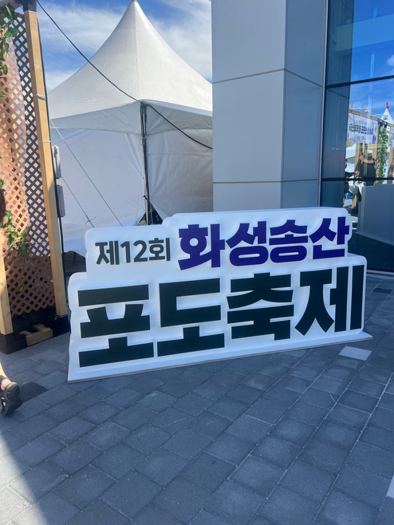 제12회 화성송산 포도축제 다녀온 후기｜주차장부터 행사장 동선, 포도 구매까지