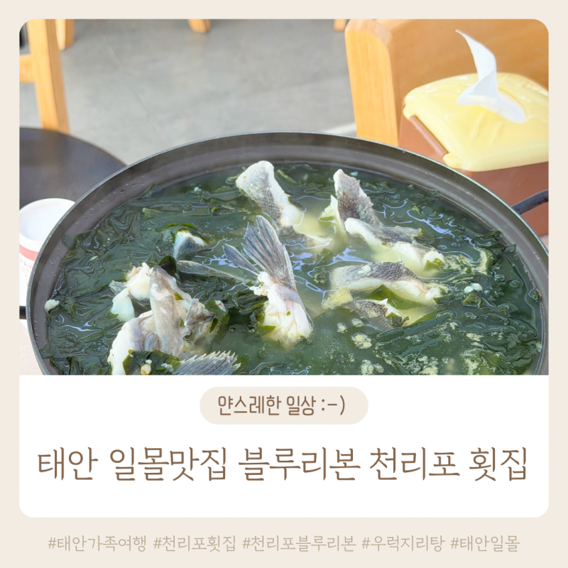 태안 가족여행 천리포해수욕장 일몰맛집 블루리본 천리포횟집