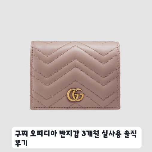 30대 직장인 데일리 지갑으로 구찌 오피디아 카드지갑 며칠 써본 느낌