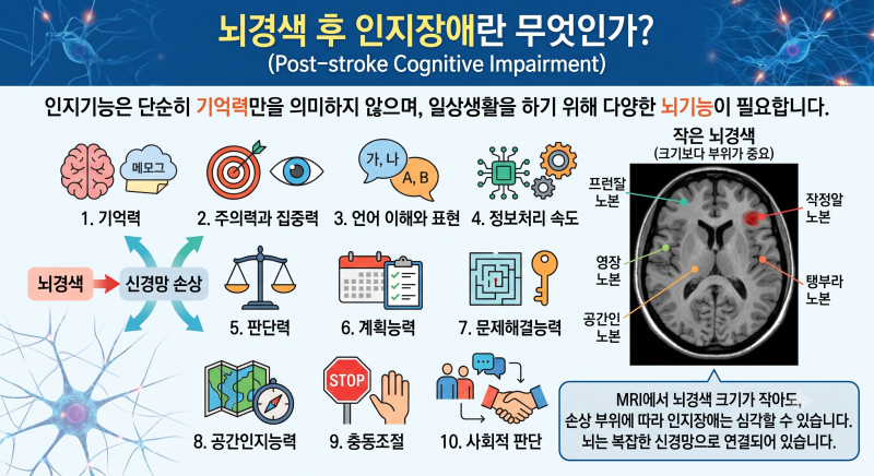 뇌경색 후 기억력·인지장애·성격변화·혈관성 치매_Prepared by 서호석손해사정사