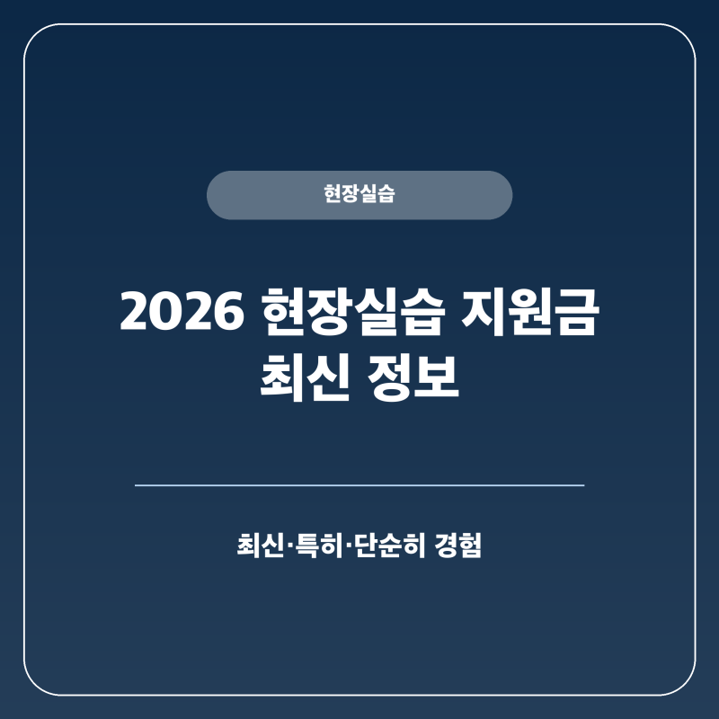 현장실습 지원금 대학생 월 230만 원