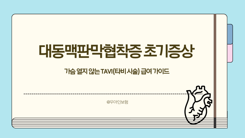 대동맥판막협착증 초기증상과 가슴 열지 않는 TAVI(타비 시술) 급여 가이드