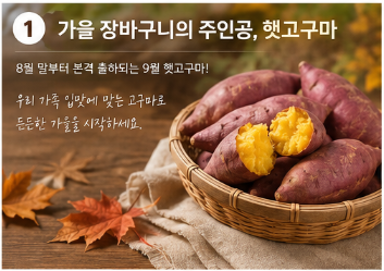 9월 햇고구마 고르는 법｜포슬포슬 밤고구마 vs 촉촉한 꿀고구마 차이와 보관법