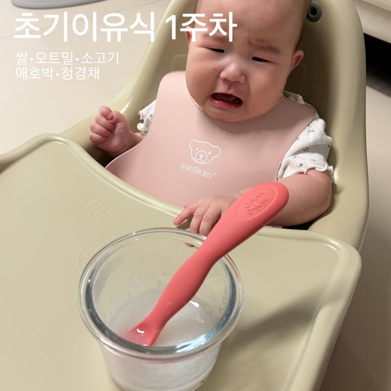 초기 이유식 1주차ㅣ지치지않는 짱 쉬운 토핑 이유식 제조일지⭐️(26년 최신지침 반영)