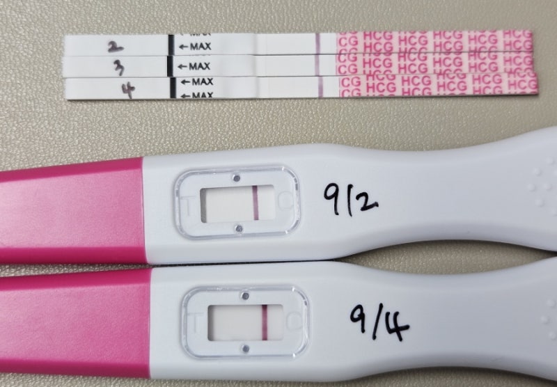 배란 9일차 아침 원포 초초초매직아이, 오후에 원포얼리로 해봤더니?