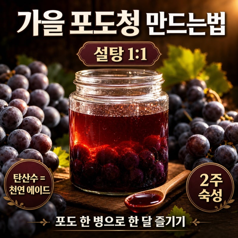 "가을 포도청 만드는법" 설탕 비율 이것만 지키면 탄산수에 타서 천연 에이드 완성됩니다