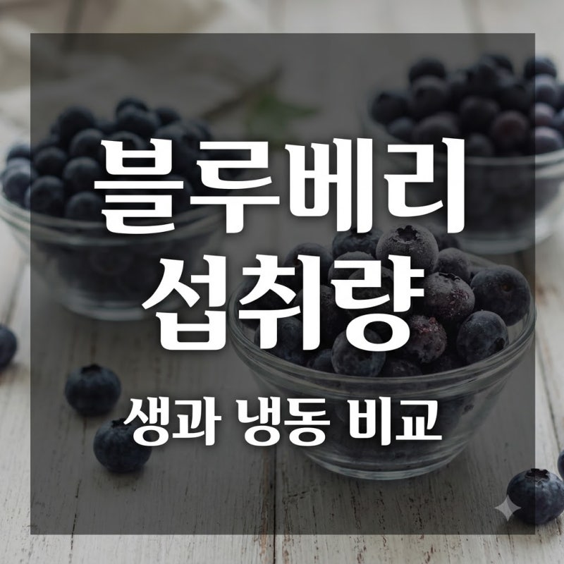 블루베리 하루 권장 섭취량 생과 냉동 차이와 올바른 보관법