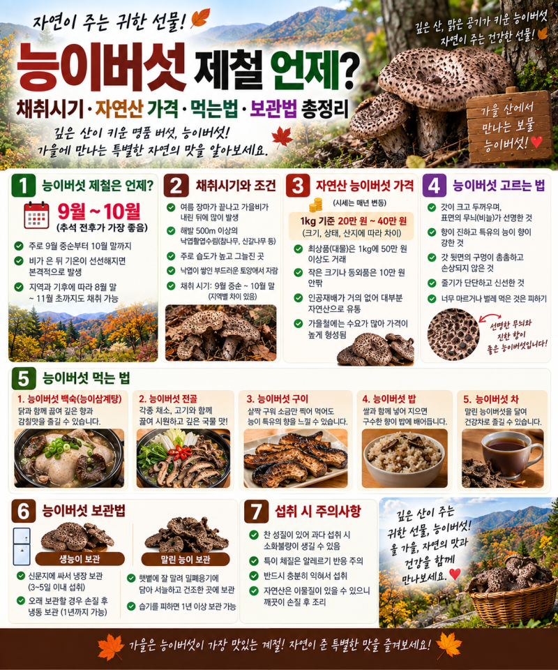 능이버섯 제철 언제?｜채취시기·자연산 가격·먹는법·보관법 총정리