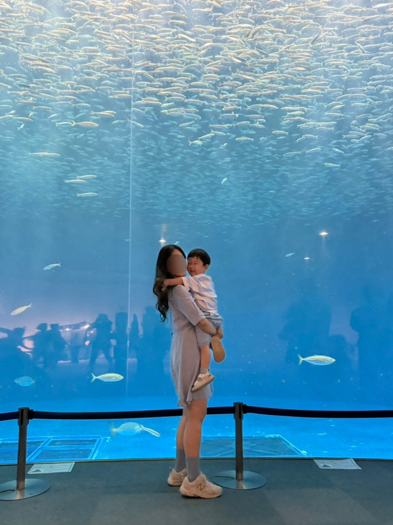 육아 일기 - 27개월 두돌 아기랑 첫 해외여행 구내염 수족구 위기
