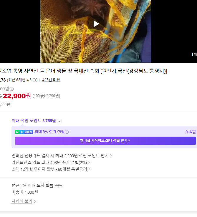 당일조업 통영 자연산 돌 문어 생물 활 국내산 숙회 후기 및 손질법