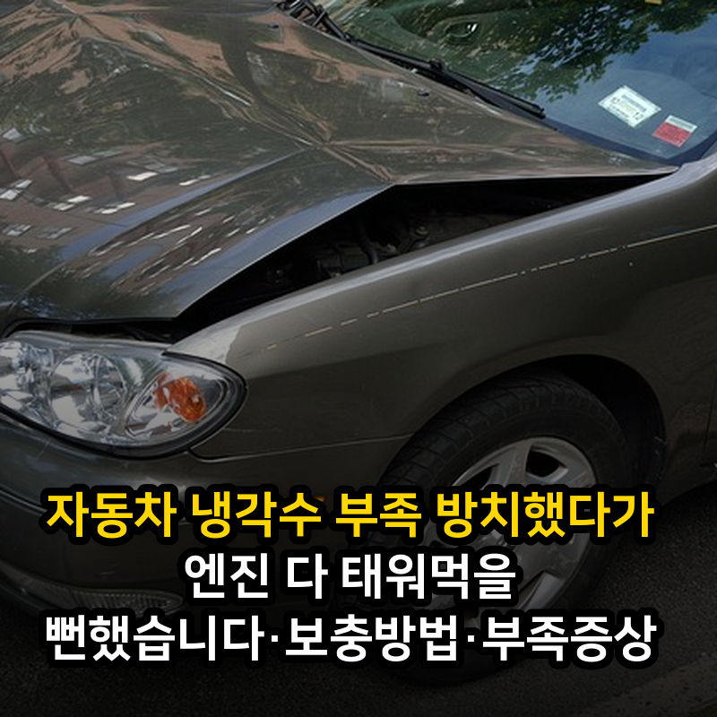 자동차 냉각수 부족 방치했다가 엔진 다 태워먹을 뻔했습니다·보충방법·부족증상