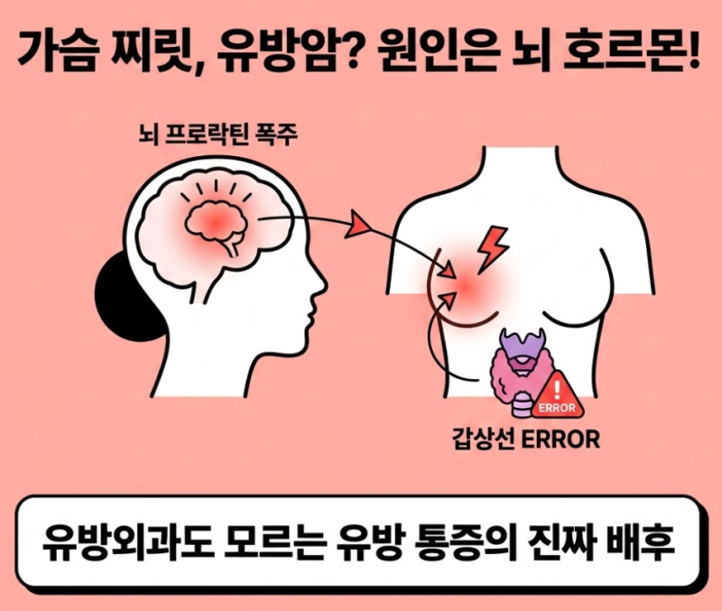 가슴이 찌릿하고 붓는다면? 유방 통증과 갑상선 호르몬의 소름 돋는 상관관계