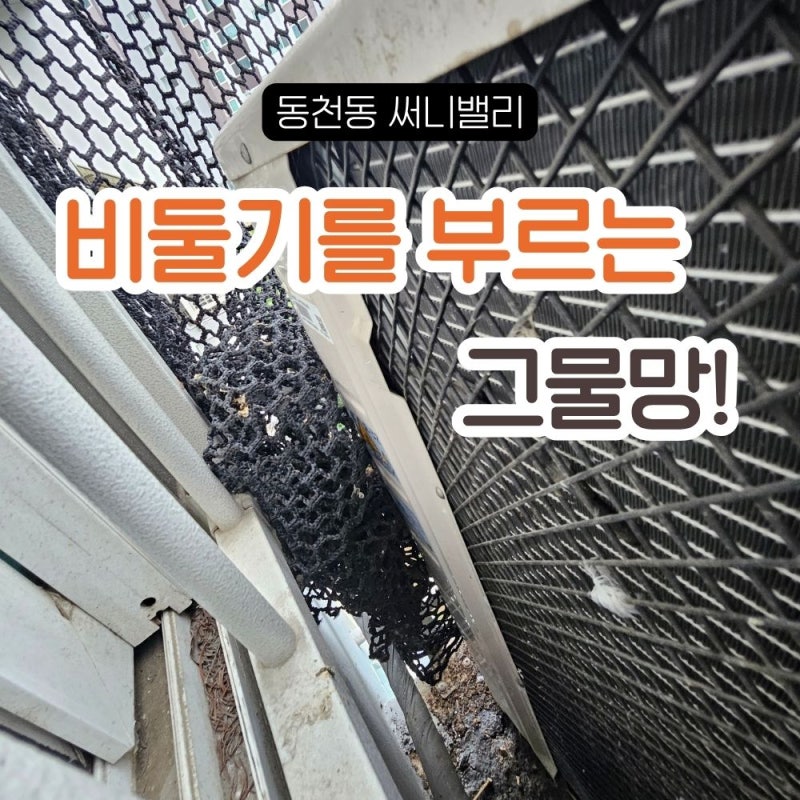 셀프로 비둘기망 설치했는데 또 들어왔습니다｜동천동 써니밸리 재시공 현장