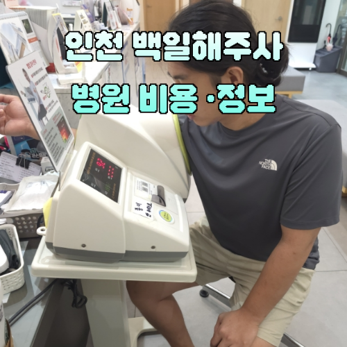 인천 구월동 백일해 파상풍 주사 가격 위치 총정리 (간석동 정을식내과 퇴근 후 접종 후기)