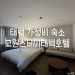 태백 가성비 숙소 추천 고원스테이태백호텔 ㅣ디럭스룸 솔직후기