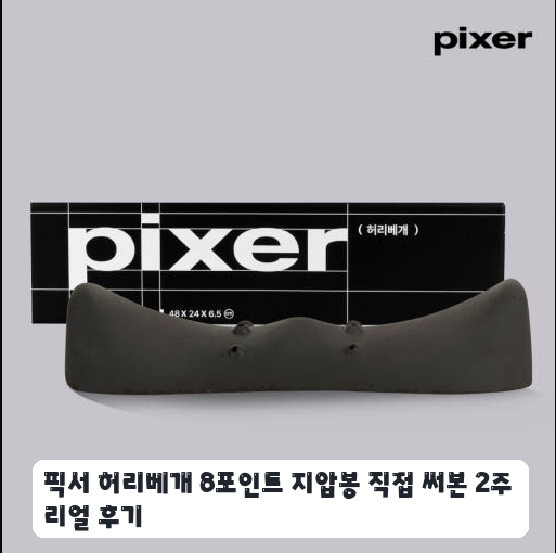 장거리 운전할 때 써본 픽서 디스크 요추베개 며칠간의 변화