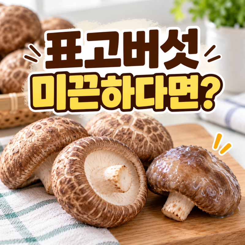 표고버섯 며칠 만에 미끈하다면? 보관법부터 바꿔보세요