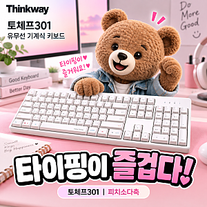 씽크웨이 토체프301 피치소다축 저소음 키보드 리뷰