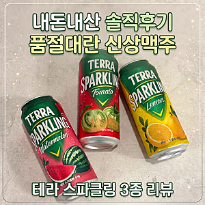 테라 스파클링 토마토 후기｜토마토맛 과실탄산주, 과연 무슨 맛?