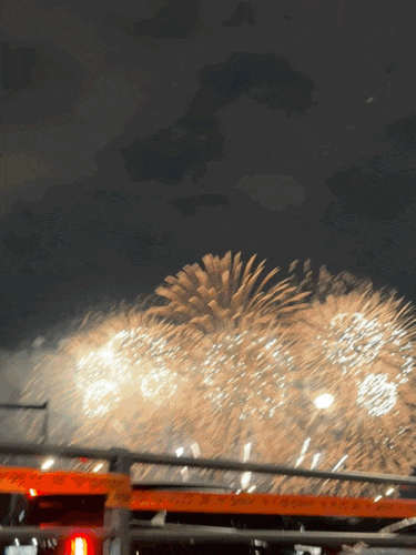 여의도 불꽃놀이 명당 직접 가본 후기 ! - 노량진 수산시장 축구장 야구장 뷰