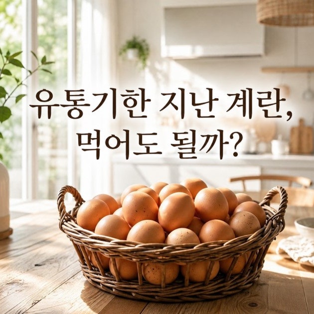 날계란 삶은계란 소비기한 총정리! 유통기한 지났을 때 섭취 가능 날짜는?