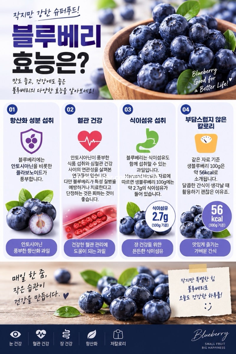 코스트코 블루베리 구매후기｜블루베리 효능·부작용부터 씻는법, 보관법까지 총정리