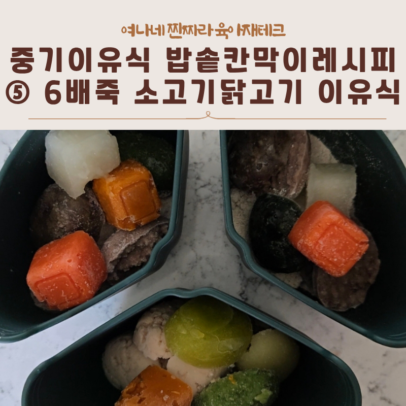 [중기이유식] 밥솥칸막이레시피 ⑤ 6배죽 소고기닭고기 이유식 3종 9끼