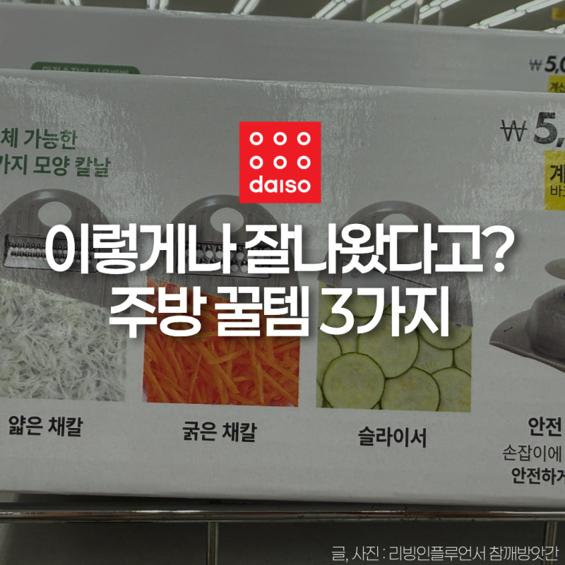 "아니 종류가 이렇게 많다고요?" 다이소 채칼 3가지