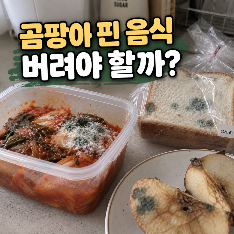 곰팡이 핀 음식 먹어도 될까? 폐기 기준과 안전한 처리법