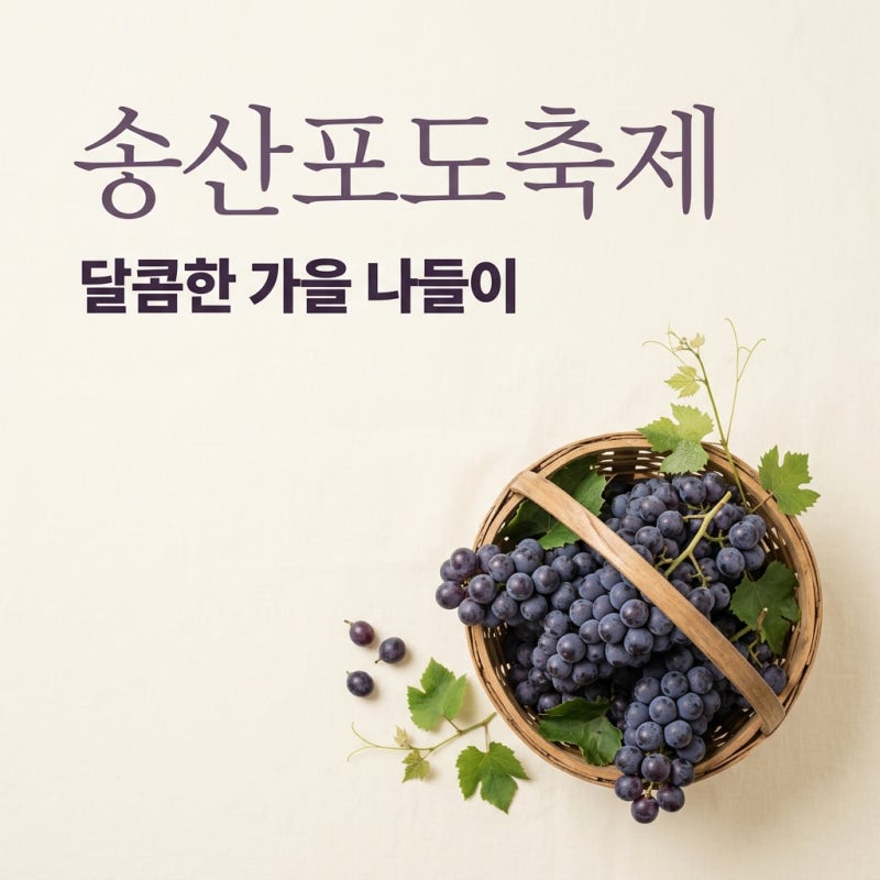 송산포도축제 2026 일정 주차 꿀팁! 화성에코팜테마파크 완벽 가이드