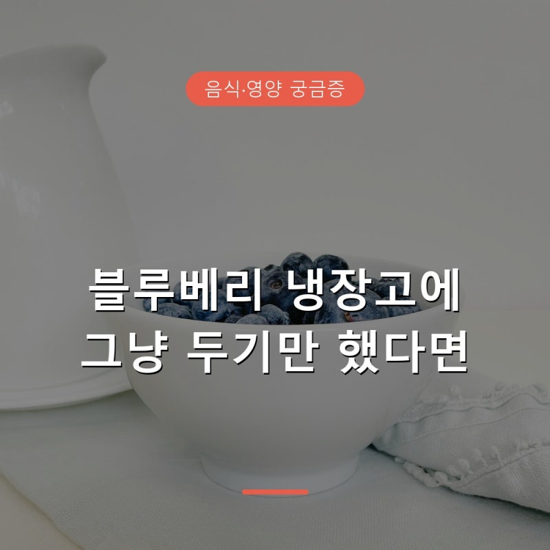 블루베리 냉장 냉동 보관 방법과 오래 두고 먹는 법